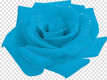 Blue rose Garden roses Petal, rose transparent background PNG clipart