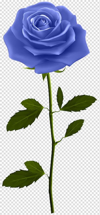 Blue rose illustration, Rose Flower , Blue Rose with Stem transparent background PNG clipart