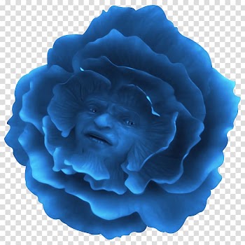 Blue rose optical illusion illustration, Alices Adventures in Wonderland Fairy tale Alice in Wonderland Flower, Fairy tale transparent background PNG clipart