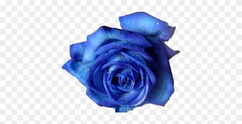 Blue Rose Png By Vixen1978 On Clipart Library - Blue Rose