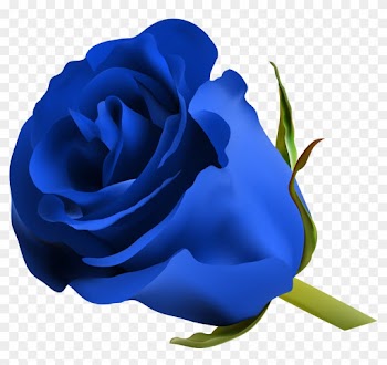 Blue Roses, Art Images, Clip Art, Pictures, Free, Beautiful, - Blue Rose Png