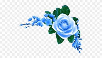 Blue Roses - Blue Rose Png Hd