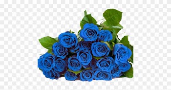 Blue Roses, Ideas - Blue Roses Png