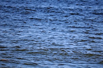 Blue Sea