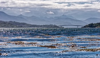 Blue Sea