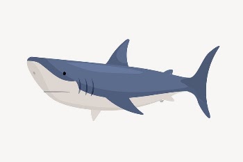 Blue shark collage element, cute | Free Vector Illustration - rawpixel