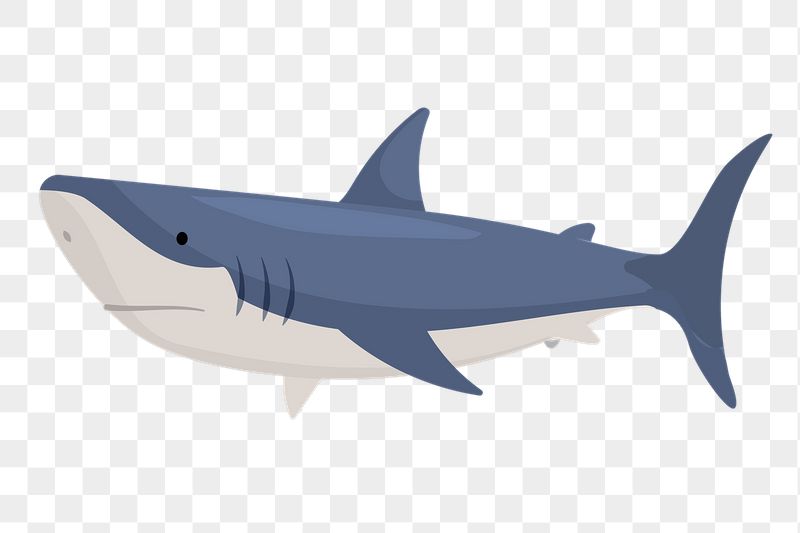 Blue shark png sticker, cute | Free PNG Illustration - rawpixel