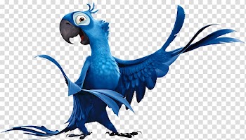 Blue Sky Studios Rio Film , Animation transparent background PNG clipart