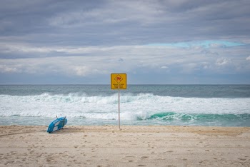 Blue Surfboard at Shoreline Near Signage