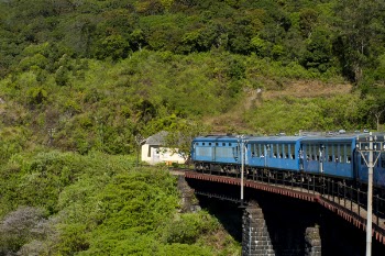 Blue Train
