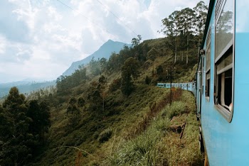 Blue Train Beside Green Grass