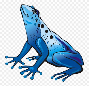 Blue Tree Frog Clip Art - Poison Dart Frog Clipart