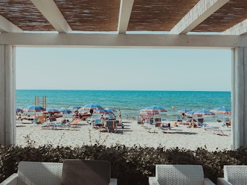 Blue Umbrelass on Shore