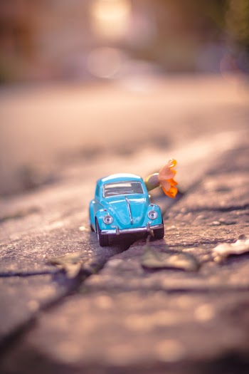 Blue Volkswagen Beetle Coupe in Selective-focus Photography
