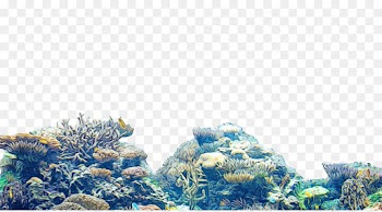 blue water aqua natural environment sky
