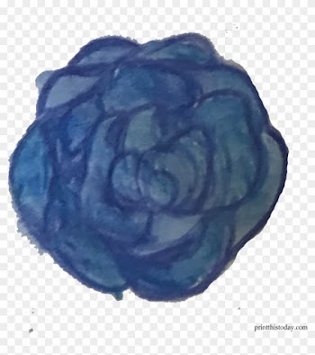 Blue Watercolor Rose - Garden Roses