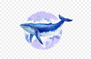 Blue whale Baleen whale Illustrator Illustration - Watercolor whale 
