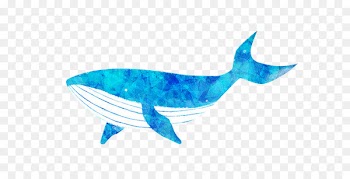 Blue whale Cartoon - Blue whale 