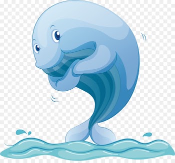 Blue whale Euclidean vector Right whales Photography - Applaud the blue whale 