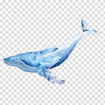 Blue whale illustration, Blue whale Watercolor painting Drawing Illustration, Watercolor Whale transparent background PNG clipart