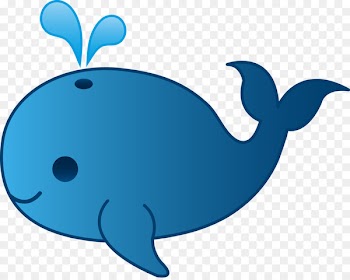 Blue whale Killer whale Clip art - Cute Whale PNG Clipart 