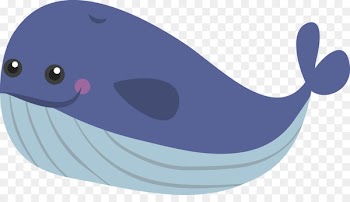 Blue whale - Lovely blue whale 