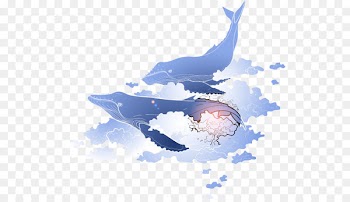Blue whale Marine mammal - whale 