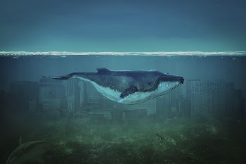 Blue Whale painting. Original public | Free Photo Illustration - rawpixel