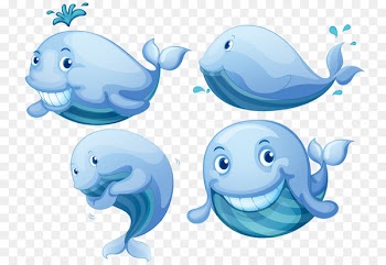 Blue whale Right whales Euclidean vector Photography - Cartoon whale 
