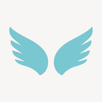 Blue wings icon, flat graphic | Free Icons - rawpixel