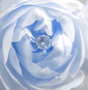 blue with gem.jpg