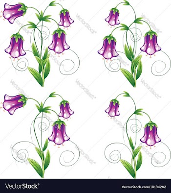 Bluebell Flower with Leaves vector image