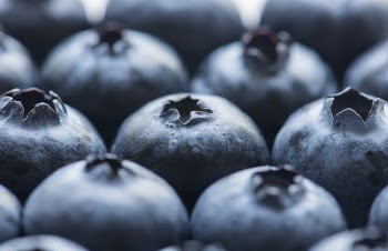 Blueberries