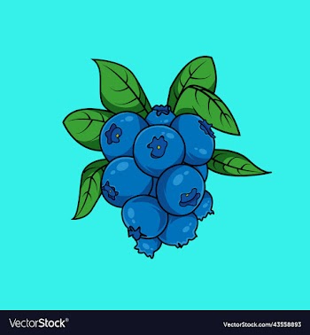 blueberries