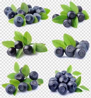Blueberries collage, Blueberry Fruit Bilberry Lingonberry, Fresh blueberries transparent background PNG clipart