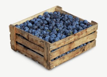 Blueberries in crate collage element, | Free PSD - rawpixel