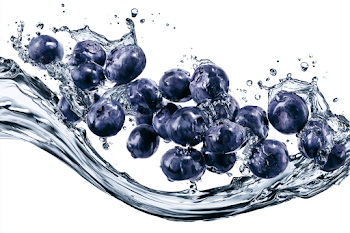 Blueberries in Dynamic Water Splash