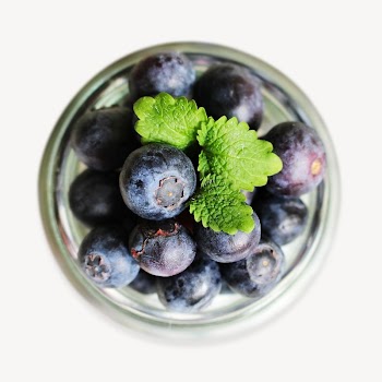 Blueberries in jar isolated design | Free Photo - rawpixel