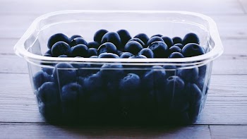 Blueberries in Plastic Container