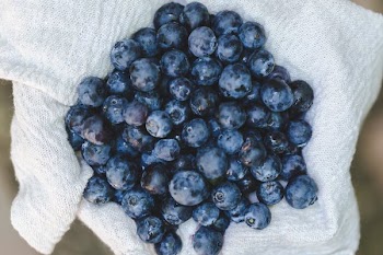 Blueberries On Linen