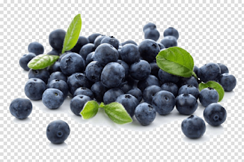 Blueberries PNG Photo