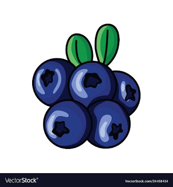 Blueberries vector image