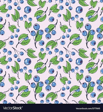 Blueberry 3 vector image