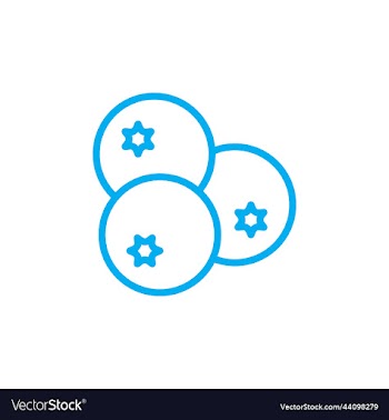 blueberry abstract line art icon