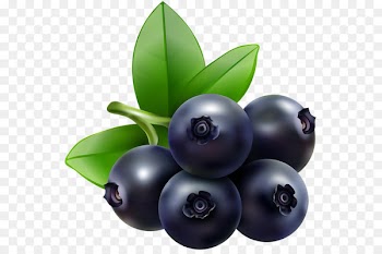 Blueberry Bilberry Food Clip art - blueberries 