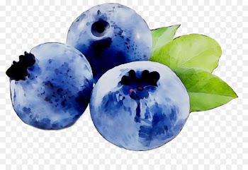 Blueberry Bilberry Fruit Actimel -  