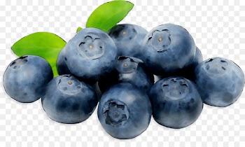Blueberry Bilberry Superfood Product -  