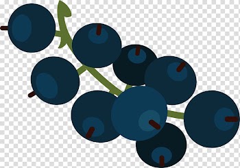 Blueberry Cartoon Redcurrant, Cartoon blueberry fruit transparent background PNG clipart