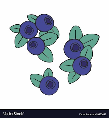  					Blueberry design of surfaces dishes packaging vector image														