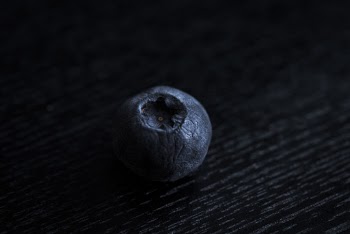Blueberry Fruit
